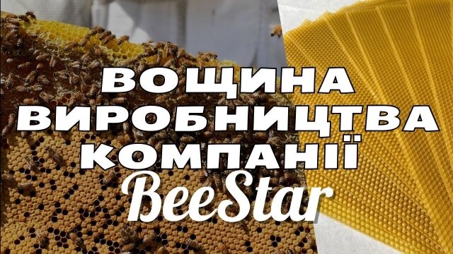 Embedded thumbnail for Вощина Дадан (300) 5 кг BeeStar