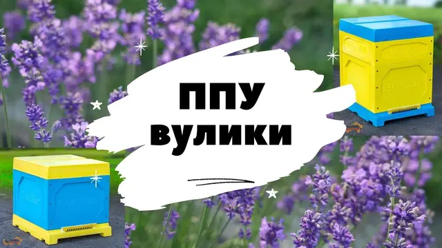 Embedded thumbnail for Корпус 145 мм ППУ розбірний BeeStar на 10-ти рамковий Вулик