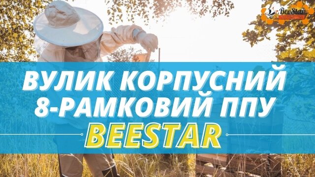 Embedded thumbnail for Вулик ППУ BeeStar 8-ми рамковий 300 мм 145 мм