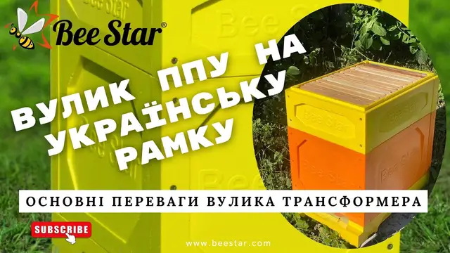 Embedded thumbnail for Вулик ППУ BeeStar 8-ми рамковий 300 мм 145 мм